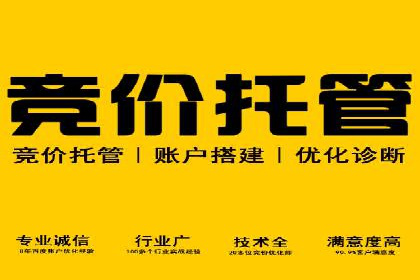探索百度竞价推广的奥秘：一家知名企业的成功之路